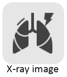 Xray.png Xray.png